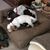 Al Griesbach's profile image