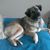 Karen Culligan's profile image