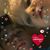 Sally Craig's profile image