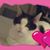 Marty Millwood's profile image