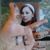 Marcelino Oliver's profile image
