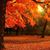 Tedrick Hopkins's profile image