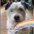 Mitzi Hidy's profile image