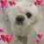 Cathy Chambers's profile image