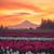 Stephanie Miller Gregson's profile image