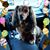 Chrissy Fiaschetti Hoey's profile image
