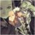 Corrina Christina McCutchen's profile image