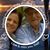 Pamela R. Howell's profile image