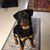 Tina Pittman Kemp's profile image