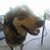 Dawn Yoast's profile image