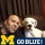 Gary M Romeo's profile image