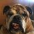 Lisa Marsh Glunt's profile image