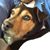 Vino Jack Russell's profile image