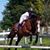 Leah J Struzzieri's profile image