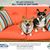 Sharon Setzer's profile image
