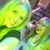 Erin Hires's profile image