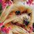 Elizabeth Brown's profile image