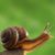 Swanny Tiyasa's profile image