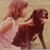 Joi Melillo's profile image
