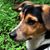 Susie Ward-Bland's profile image