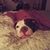 Amy Louisa's profile image