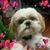 Margrit Portaria's profile image