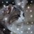 Anita Oviedo's profile image