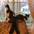 Debbie Hampton's profile image
