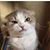 Kristin Jerome's profile image