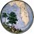 Joe Cassarella's profile image