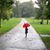 Donna Mayes's profile image