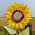 Thomas Gray's profile image
