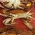 Christine Ward's profile image