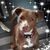 Mary Giolli-Tyler's profile image
