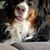 Karen Goudy's profile image