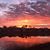 Robin Bourque Peck's profile image