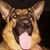 J.j. Follis's profile image
