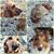 Kathleen Folz's profile image