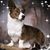Jacque Novak's profile image