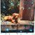 Lori Phirman's profile image