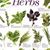 Debra Eve Harner-Kramer's profile image