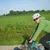 Marcia Lyn Swanson Schattauer's profile image