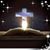 Pam Johnson's profile image