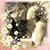 Christine Basiuk's profile image