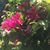 Judy Hoeffer Keech's profile image