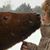 Kimberlee A. Buck's profile image