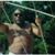 Sip Perkins's profile image