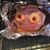 Nancy Griffith's profile image