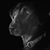 Sandy Pamplin's profile image