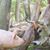 Debbi James-Saunders's profile image